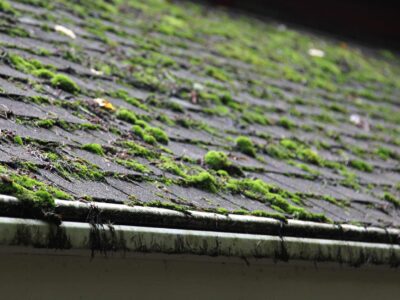 How much does roof cleaning cost Farnborough