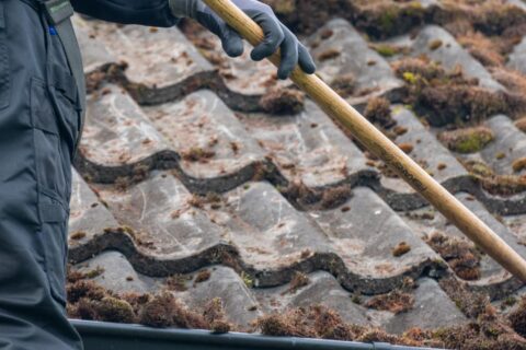 Roof Moss Removal Aldershot GU11-GU12