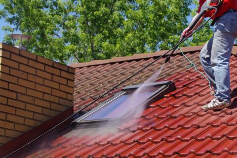 Roof Cleaning & Coating Winchester