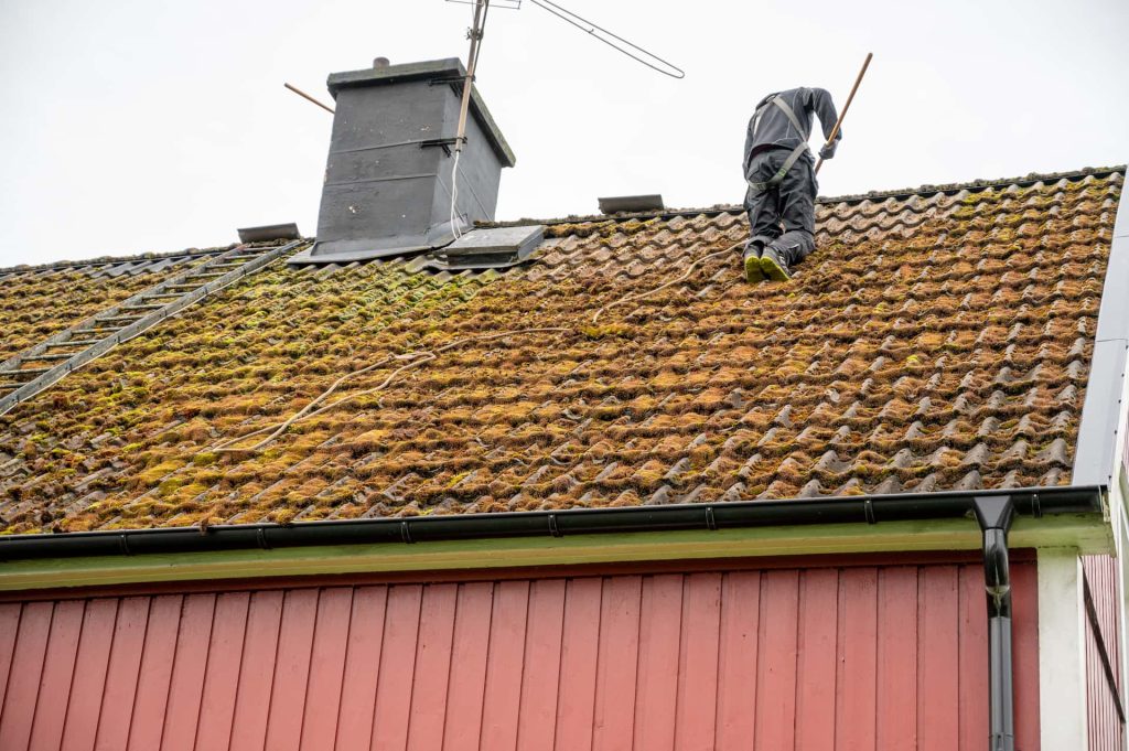 Roof moss removal services Hampshire